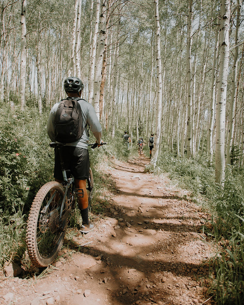 Image of the mountain biking trail by Chris Henry
